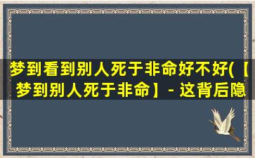 梦到看到别人死于非命好不好(【梦到别人死于非命】- 这背后隐藏着的含义是什么？)